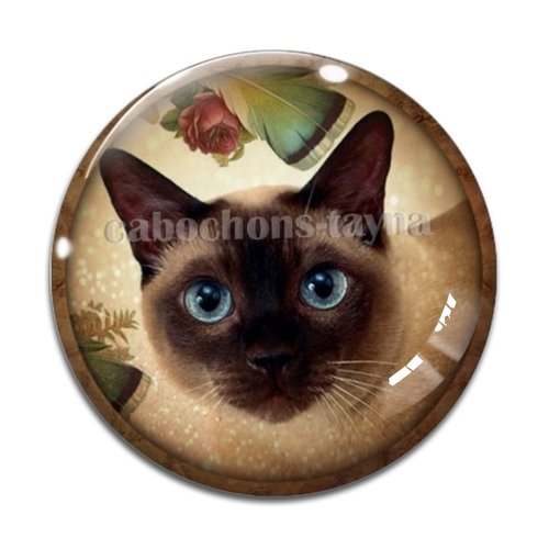 Cabochon chat, résine ou verre différente taille