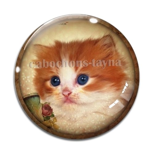 Cabochon chat, résine ou verre différente taille