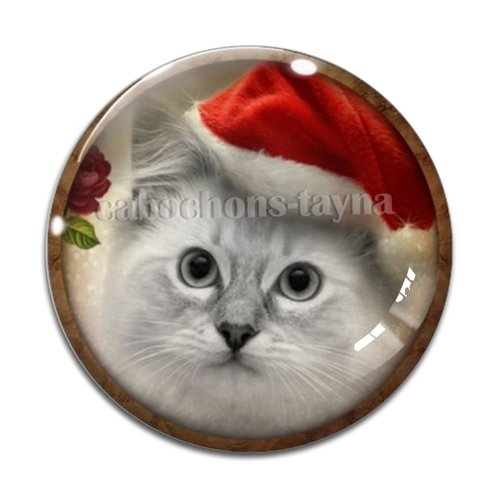 Cabochon chat, résine ou verre différente taille