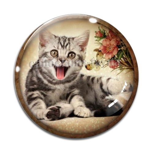 Cabochon chat, résine ou verre différente taille