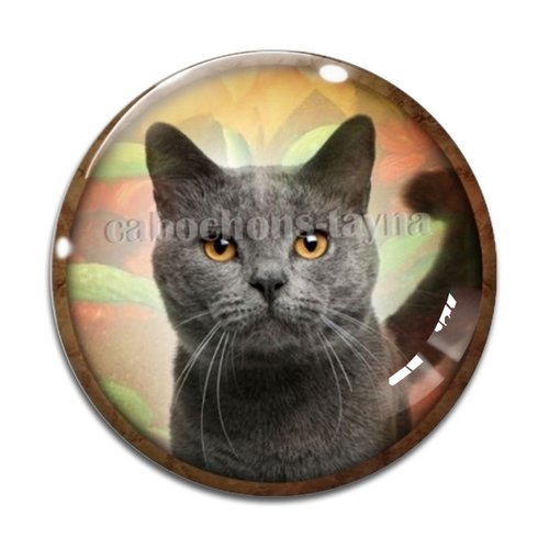 Cabochon chat, résine ou verre différente taille