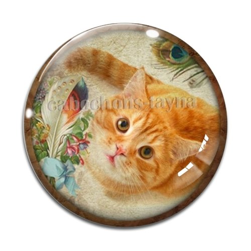 Cabochon chat, résine ou verre différente taille