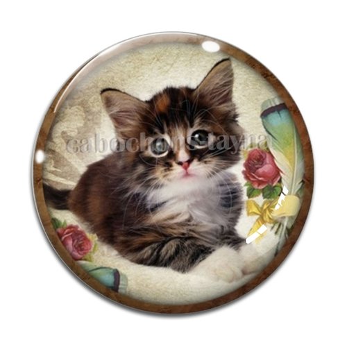 Cabochon chat, résine ou verre différente taille