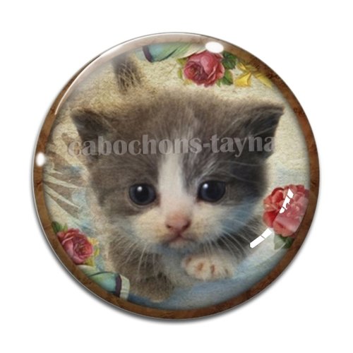 Cabochon chat, résine ou verre différente taille