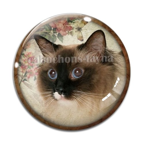 Cabochon chat, résine ou verre différente taille