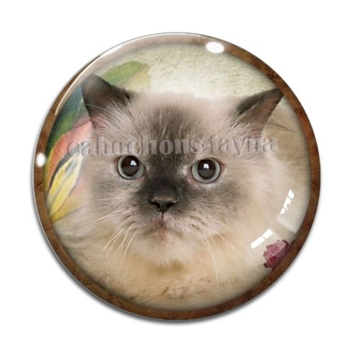 Cabochon chat, résine ou verre différente taille