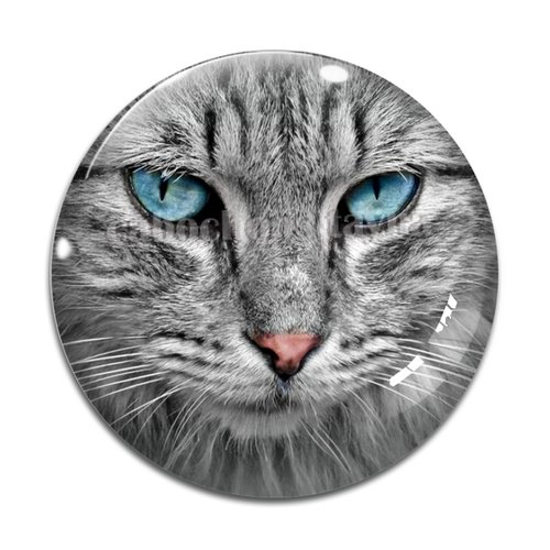 Cabochon chat, résine ou verre différente taille