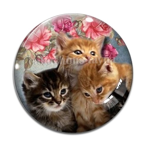Cabochon chat, résine ou verre différente taille
