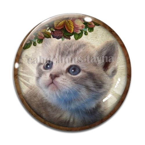Cabochon chat, résine ou verre différente taille