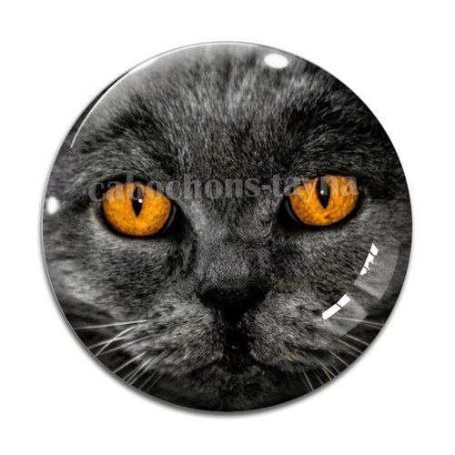 Cabochon chat, résine ou verre différente taille