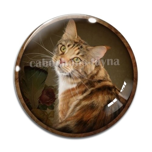 Cabochon chat, résine ou verre différente taille