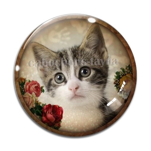 Cabochon chat, résine ou verre différente taille