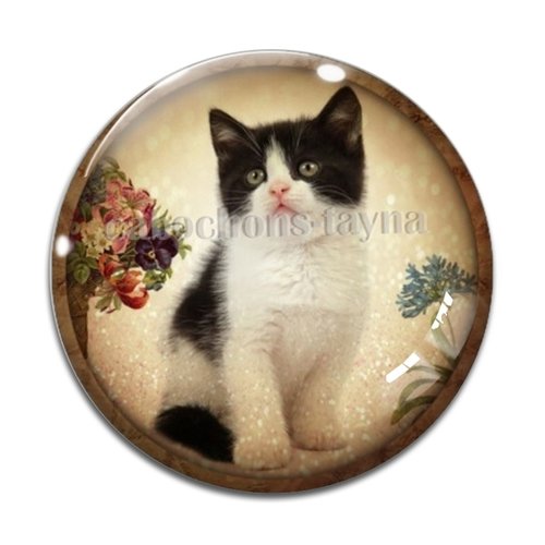 Cabochon chat, résine ou verre différente taille