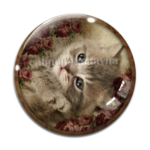 Cabochon chat, résine ou verre différente taille