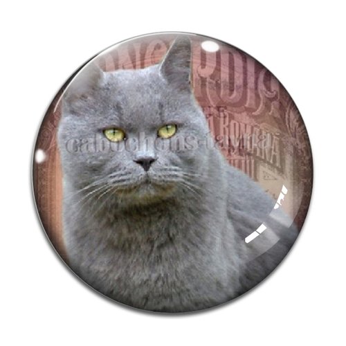 Cabochon chat, résine ou verre différente taille