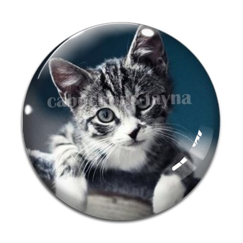 Cabochon chat, résine ou verre différente taille