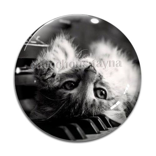Cabochon chat, résine ou verre différente taille