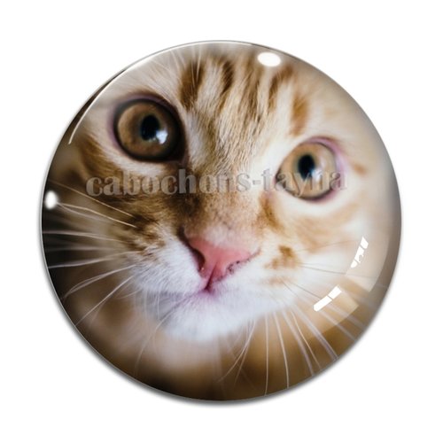 Cabochon chat, résine ou verre différente taille