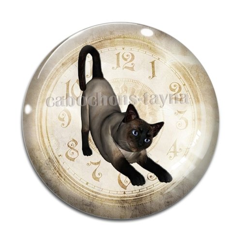 Cabochon chat, résine ou verre différente taille