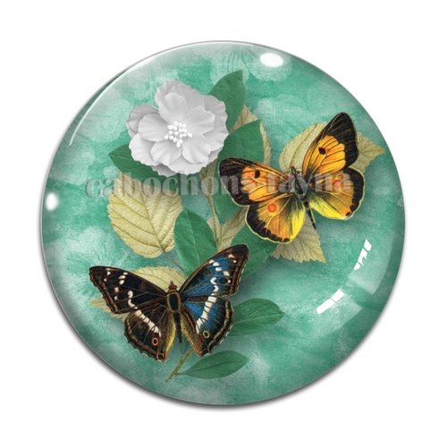 Cabochon papillon, en résine ou en verre différente taille
