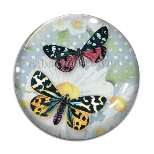 Cabochon papillon, en résine ou en verre différente taille