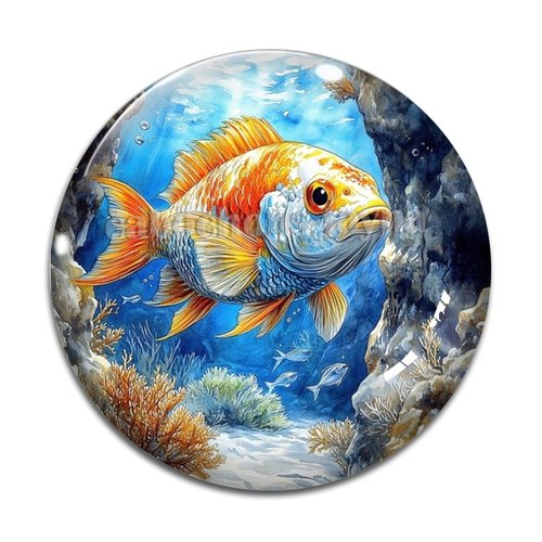 Cabochon poisson, cabochon résine ou verre rond différente taille