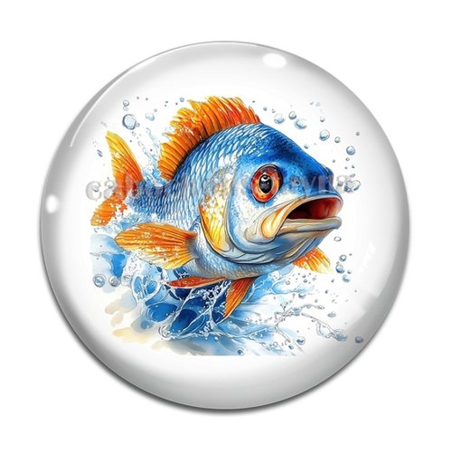 Cabochon poisson, cabochon résine ou verre rond différente taille