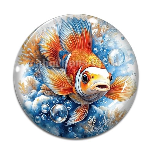 Cabochon poisson, cabochon résine ou verre rond différente taille