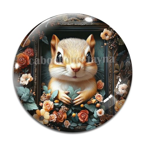 Cabochon écureuil, cabochon résine ou verre rond différente taille
