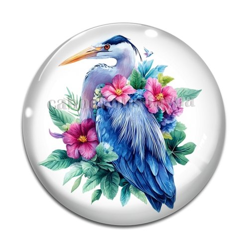 Cabochon oiseaux, cabochon résine ou verre rond différente taille