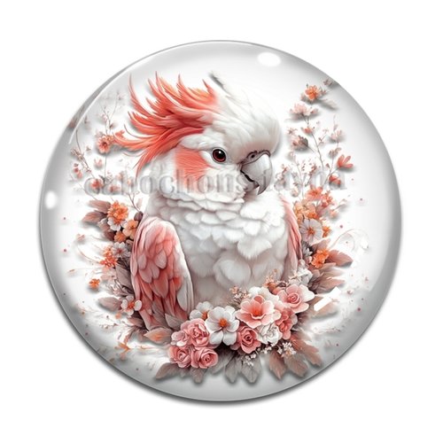 Cabochon perroquet, cabochon résine ou verre rond différente taille