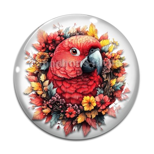 Cabochon perroquet, cabochon résine ou verre rond différente taille