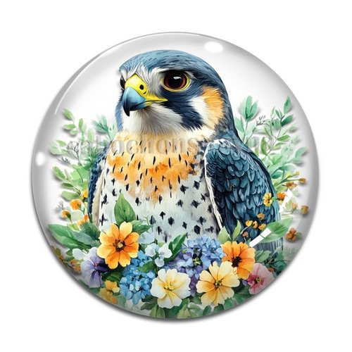 Cabochon oiseaux rapace, cabochon résine ou verre rond différente taille