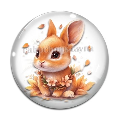 Cabochon lapin, cabochon résine ou verre rond différente taille