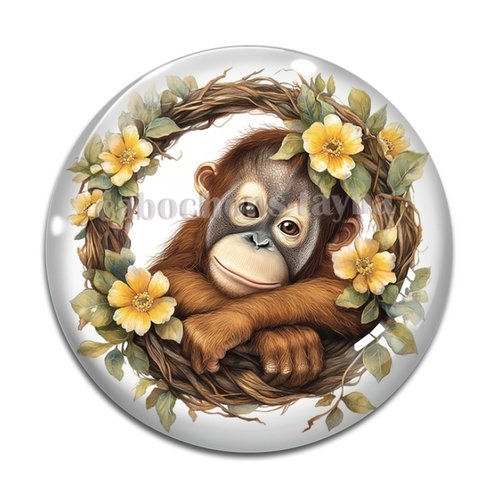 Cabochon singe, cabochon résine ou verre rond différente taille