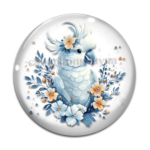 Cabochon oiseaux, cabochon résine ou verre rond différente taille