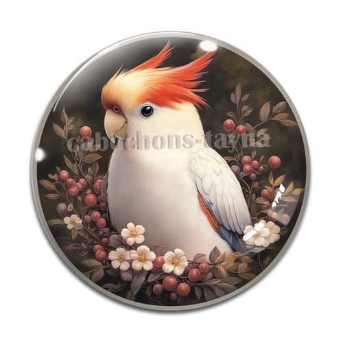 Cabochon perroquet, cabochon résine ou verre rond différente taille