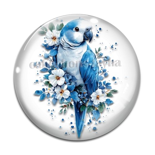 Cabochon oiseaux, cabochon résine ou verre rond différente taille