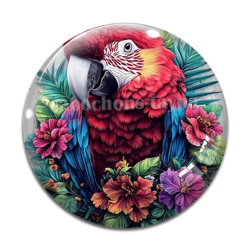 Cabochon perroquet, cabochon résine ou verre rond différente taille