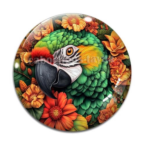 Cabochon perroquet, cabochon résine ou verre rond différente taille