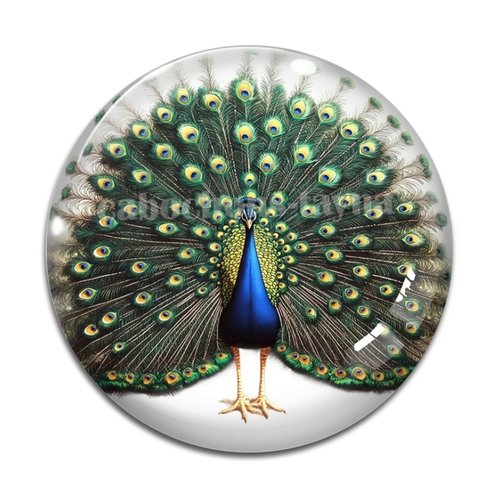 Cabochon paon, résine ou verre différente taille