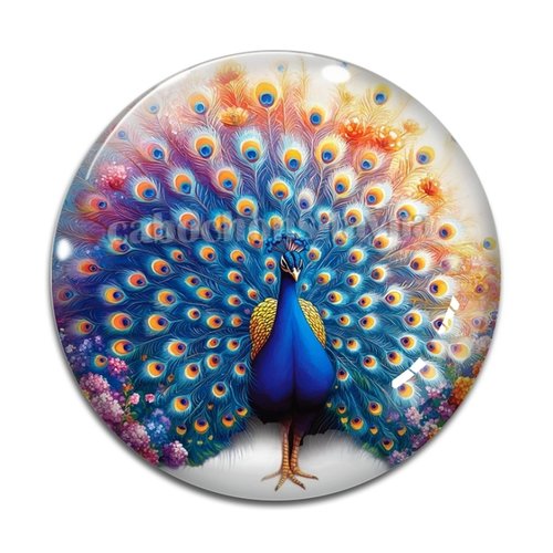 Cabochon paon, résine ou verre différente taille