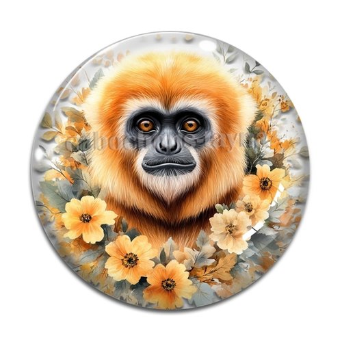 Cabochon singe, cabochon résine ou verre rond différente taille
