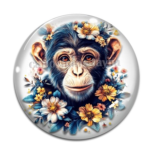 Cabochon singe, cabochon résine ou verre rond différente taille
