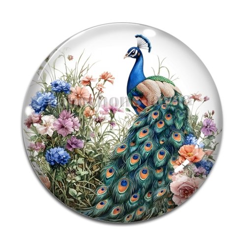 Cabochon paon, cabochon résine ou verre rond différente taille