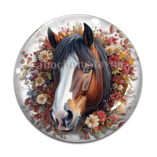 Cabochon cheval, cabochon résine ou verre rond différente taille