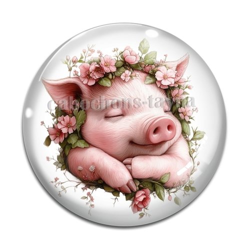 Cabochon cochon, cabochon résine ou verre rond différente taille