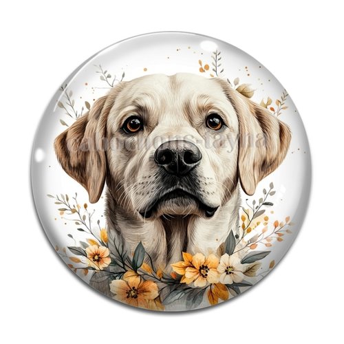 Cabochon chien, cabochon résine ou verre rond différente taille