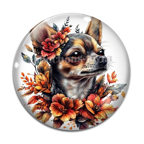 Cabochon chien, cabochon résine ou verre rond différente taille