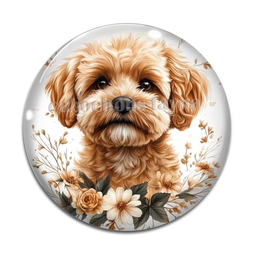 Cabochon chien, cabochon résine ou verre rond différente taille